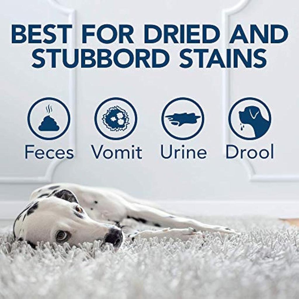 OUT! Pet Urine Destroyer – Enzymatic Stain & Odour Remover - 1 Litre