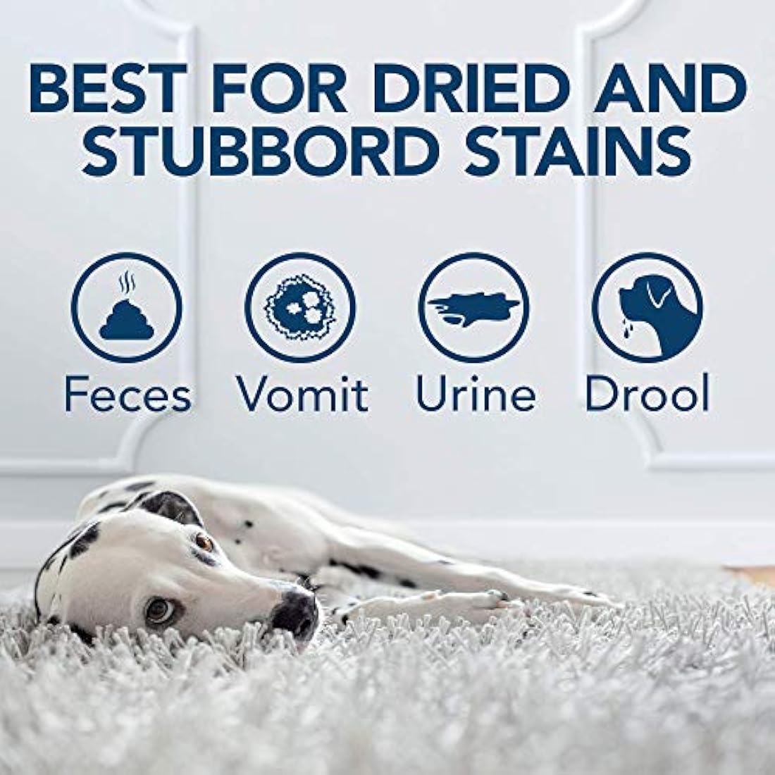 OUT! Pet Urine Destroyer – Enzymatic Stain & Odour Remover - 1 Litre