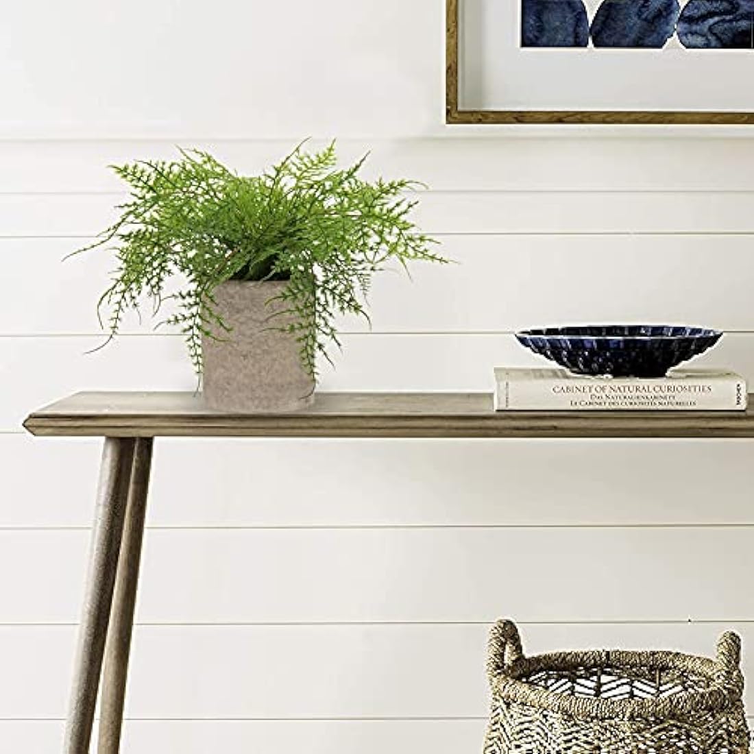 Artificial Potted Asparagus Fern – Small Faux Desk Plant