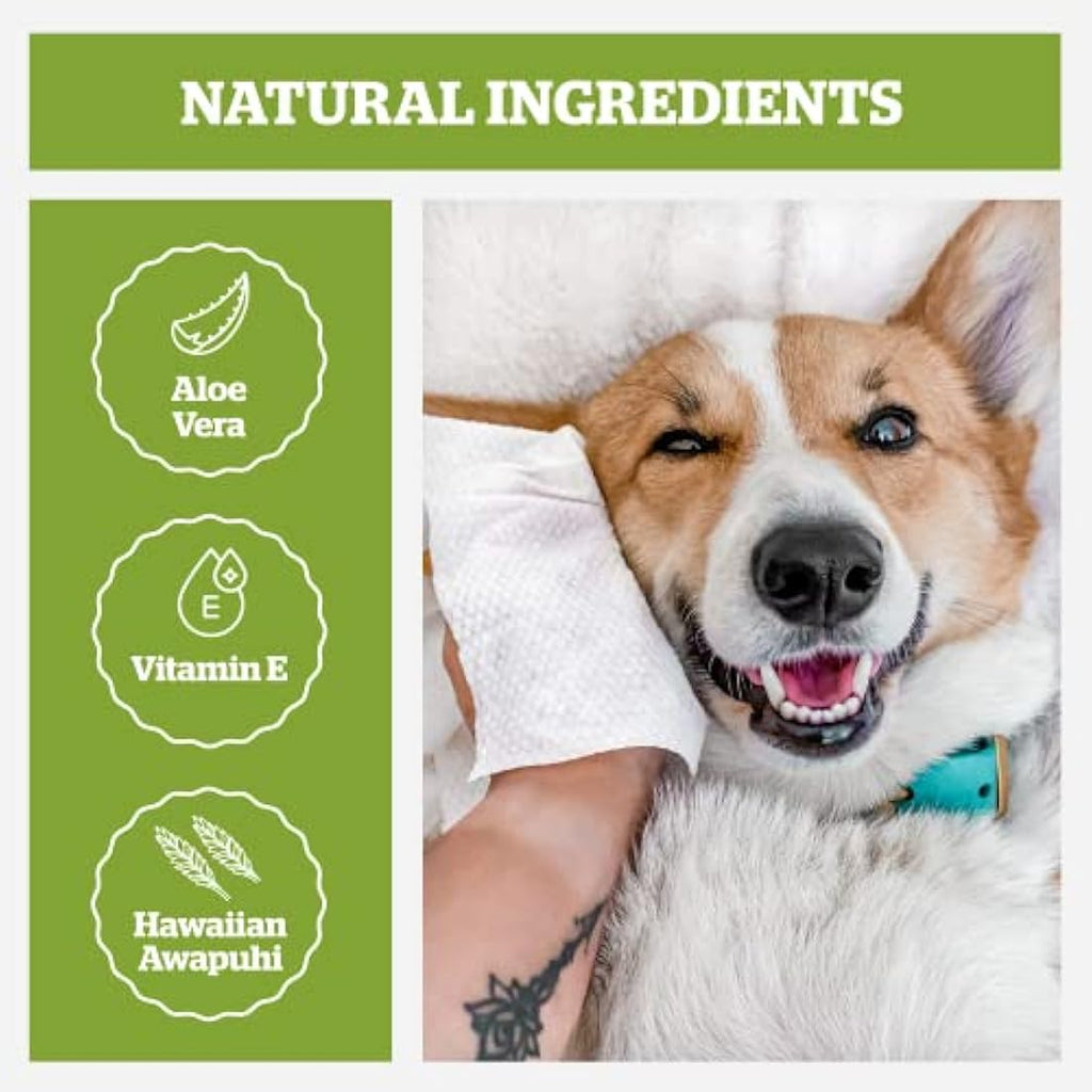 Pogi’s Dog Wipes – Plant-Based Hypoallergenic Grooming Wipes, 400-Count