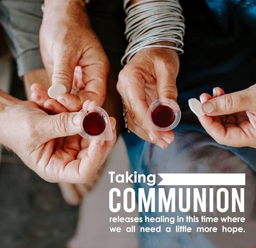 The Miracle Meal Pre-Filled Communion Cups & Wafers - 250 Count Box
