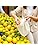 Belle Vous Cotton Muslin Bags - 10 Pack Reusable Drawstring Pouches
