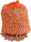 Jolof Store Raw Hazelnuts in Shell – 100% Natural Polish Nuts – 5 kg