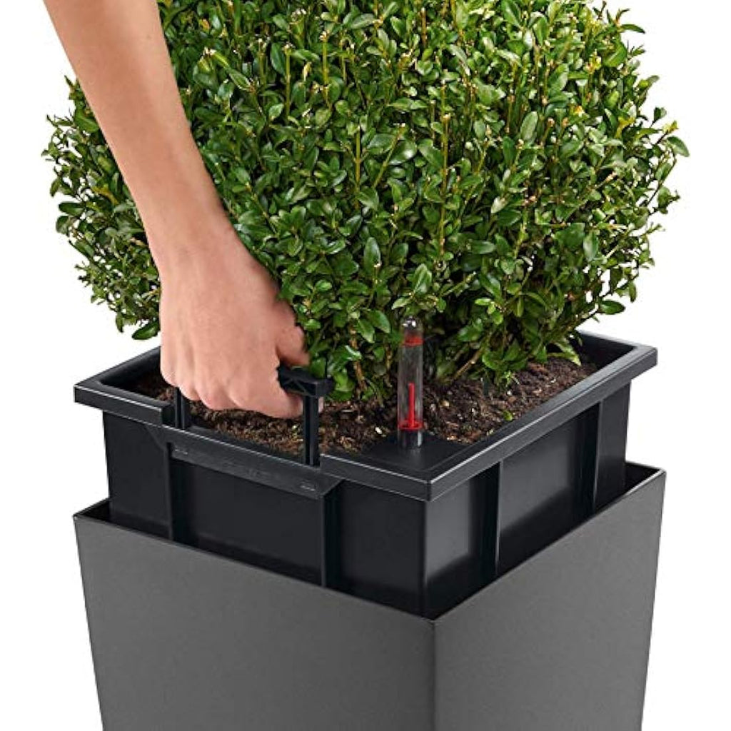 Lechuza Cubico Premium 40 Self-Watering Planter - Scarlet Red Gloss