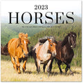 Grupo Erik Horse Wall Calendar 2023 | 12-Month Family Planner | 12x12