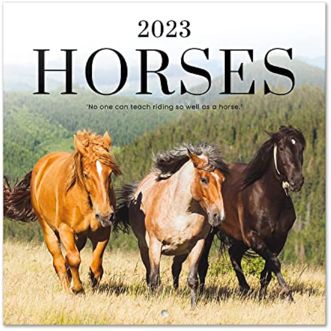 Grupo Erik Horse Wall Calendar 2023 | 12-Month Family Planner | 12x12