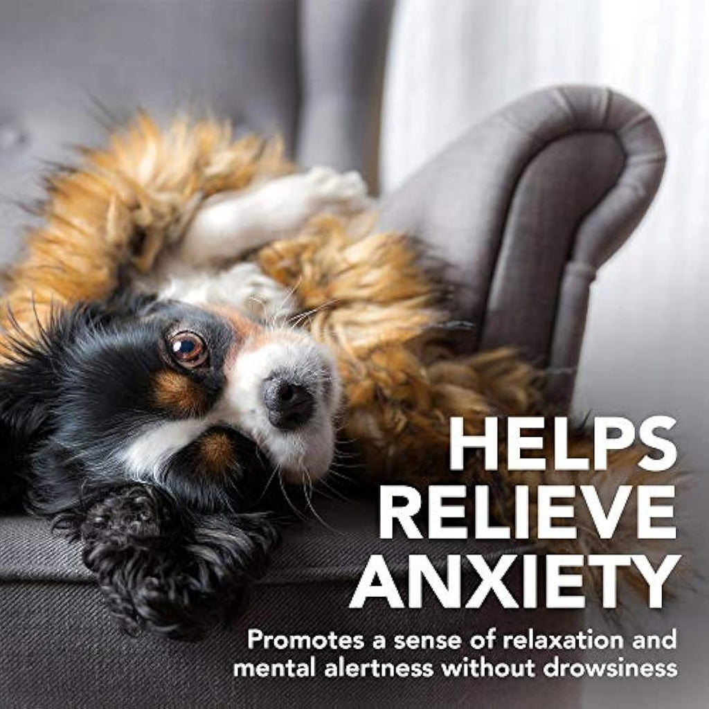 Vet's Best Comfort Calm Dog Calming Supplement - 60 Chewable Tablets