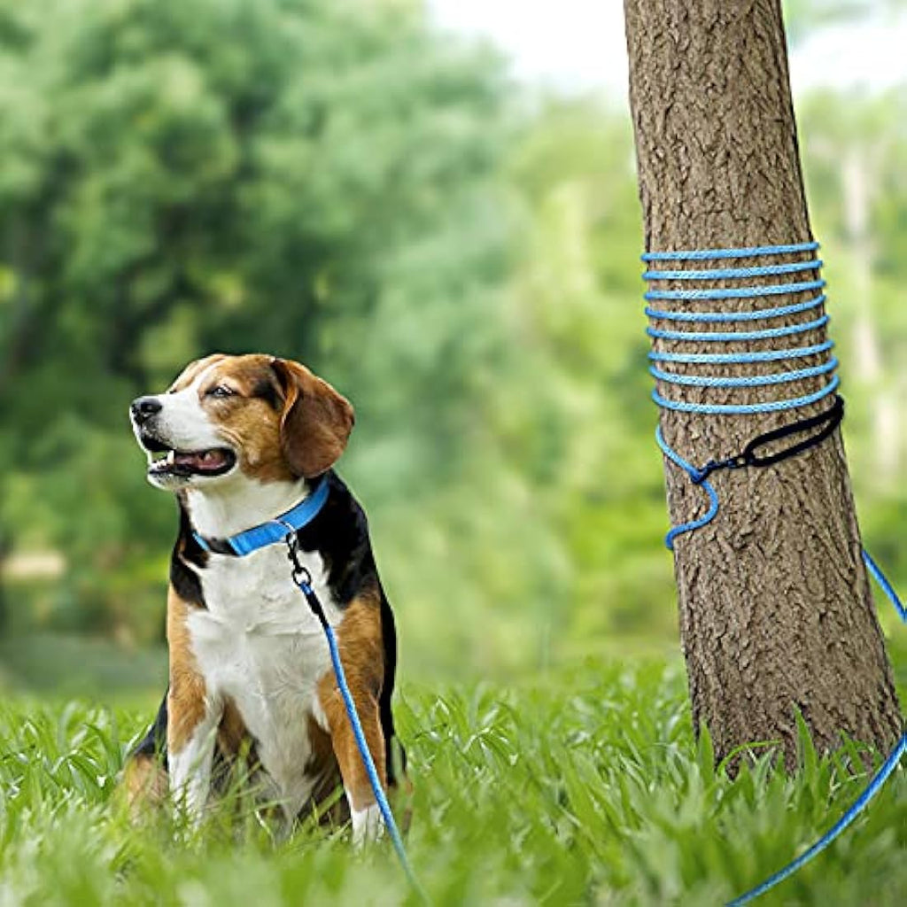 Long Dog Training Lead – 10M Reflective Nylon Puppy Leash