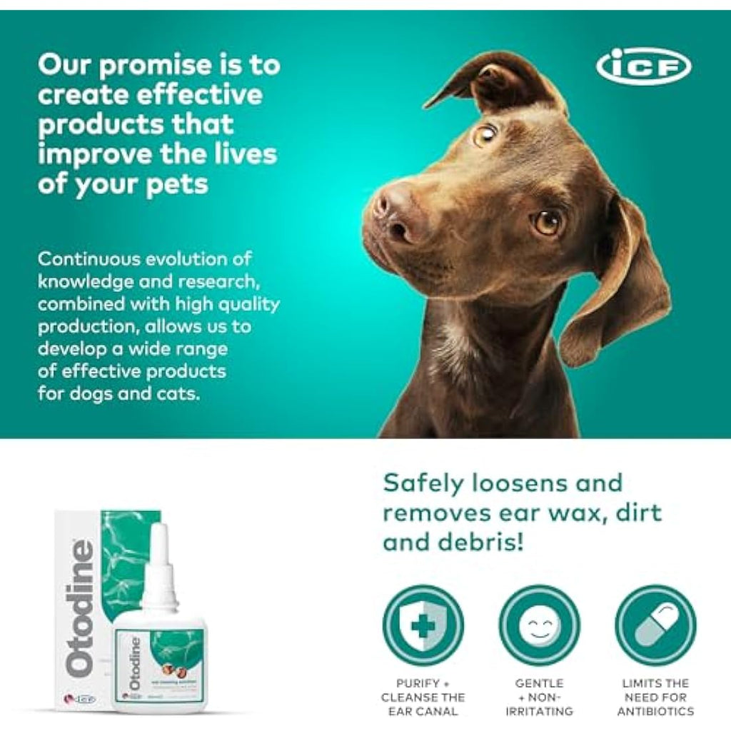 ICF Otodine Ear Cleaner for Dogs & Cats - 100ml Pet Hygiene Solution