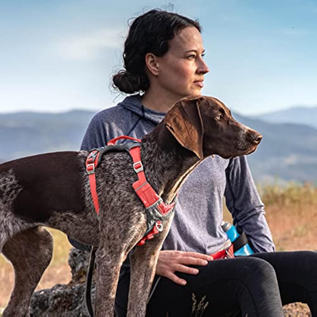 Kurgo Journey Air Dog Harness – Breathable Active Gear, Coral, Large