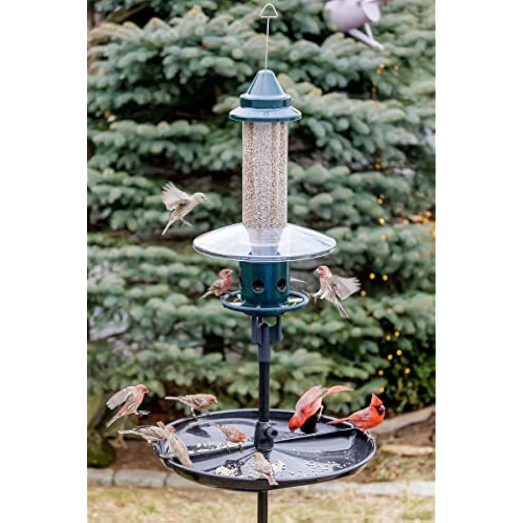 Jacobi Jayne Squirrel Proof Bird Feeder – Metal Buster Plus, Green