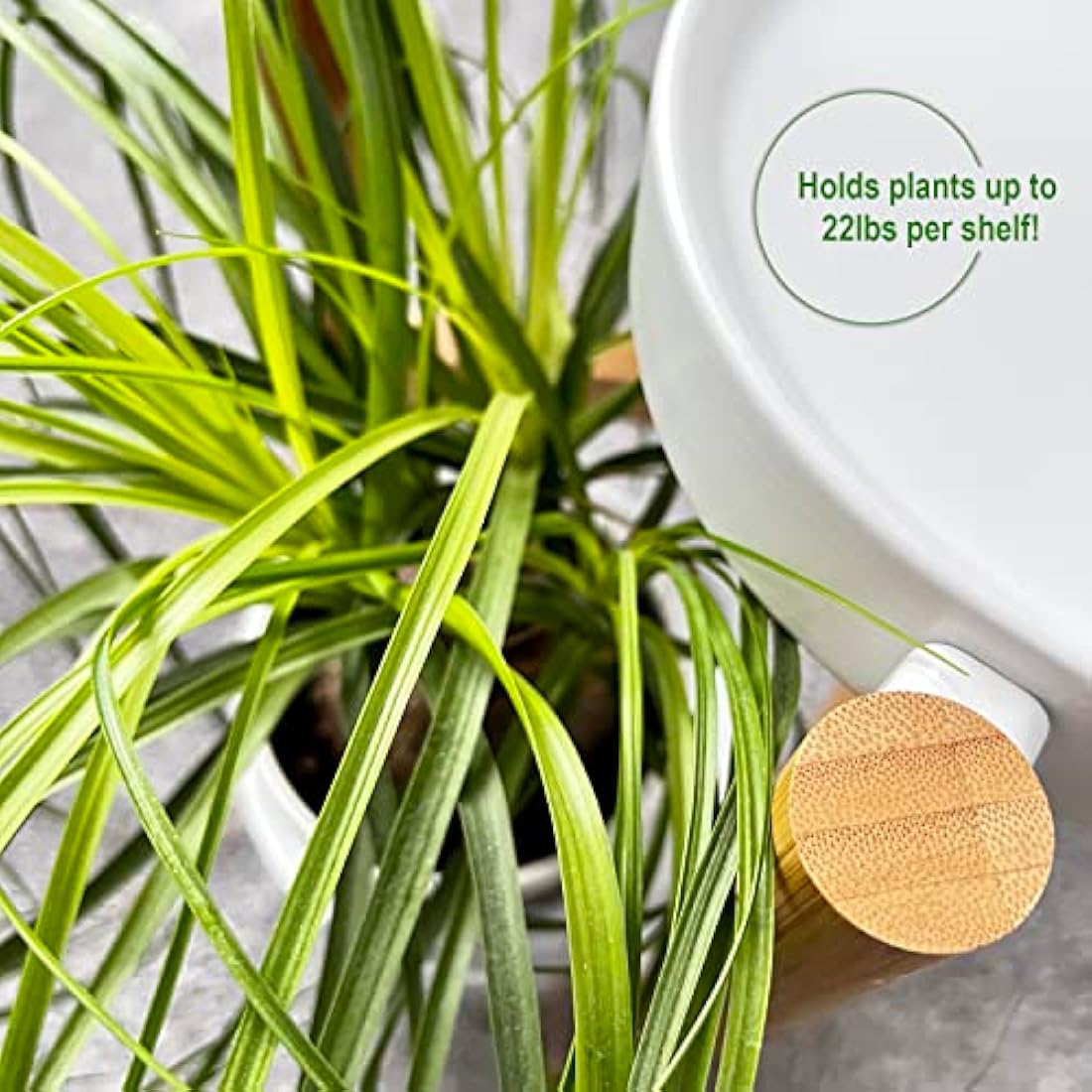 Jolof Store 3-Tier Bamboo Plant Stand – Tall Indoor Corner Display Rack