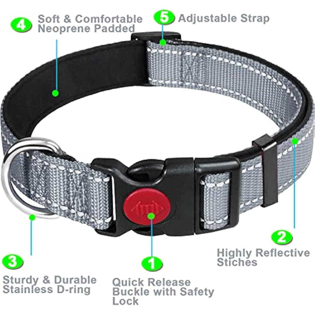 Reflective Nylon Dog Collar – Padded Adjustable Pet Collar