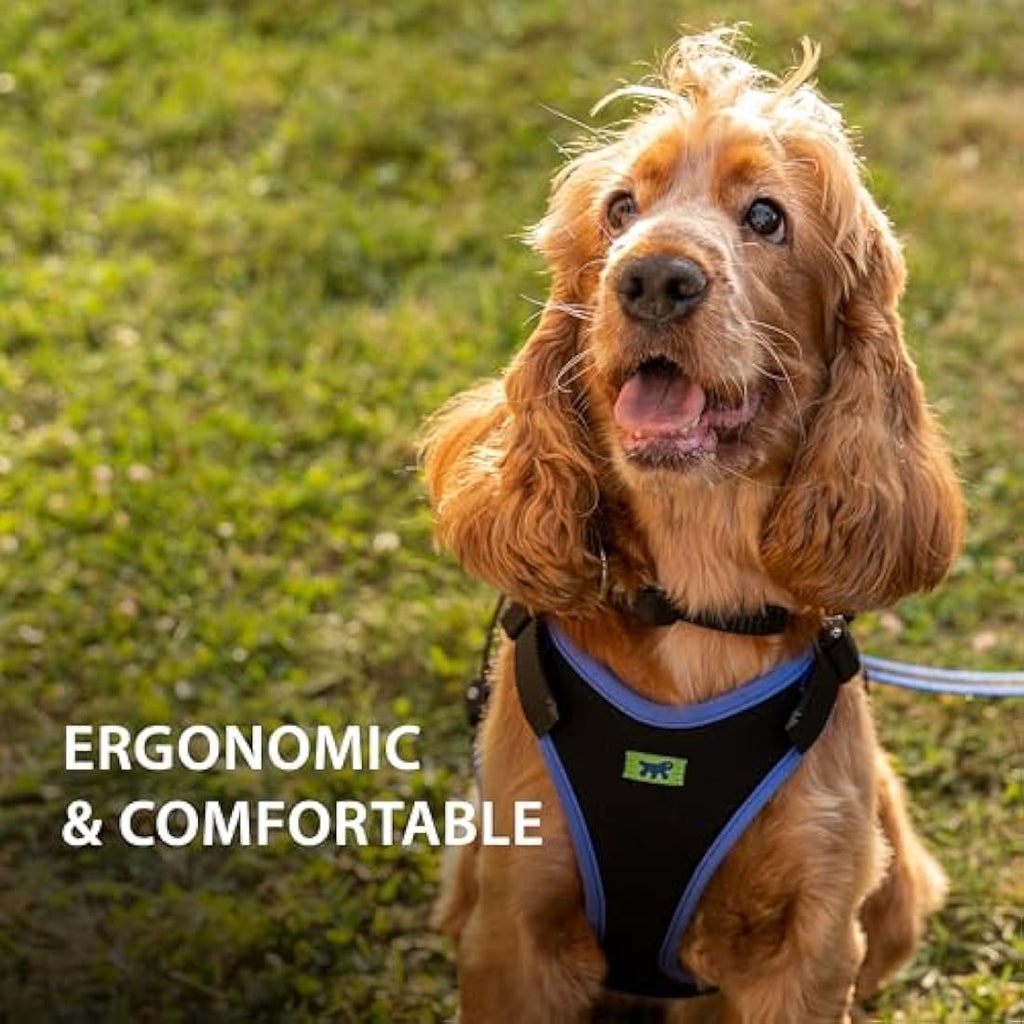 Ferplast Ergocomfort Small Dog Harness - Padded Nylon, Blue
