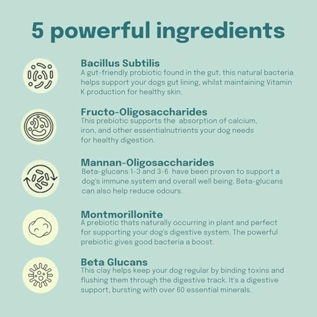 Buddy and Lola Dog Probiotics Powder | Soil Based Gut Health Supplement