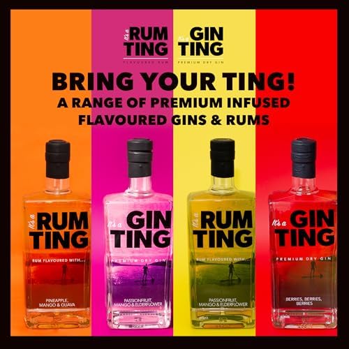 GinTing Berries Flavoured Gin – Premium London Dry with Mixed Fruit 70cl
