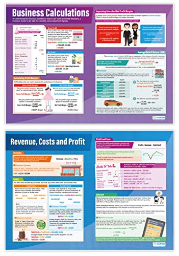 Accounting & Finance Classroom Posters | Set of 7 Laminated A1 Wall Charts