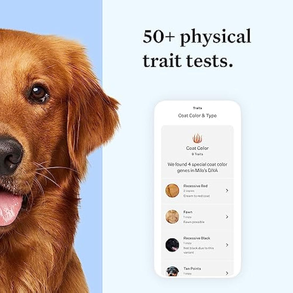 Wisdom Panel Essential Dog DNA Test Kit – Breed ID & Health Screening