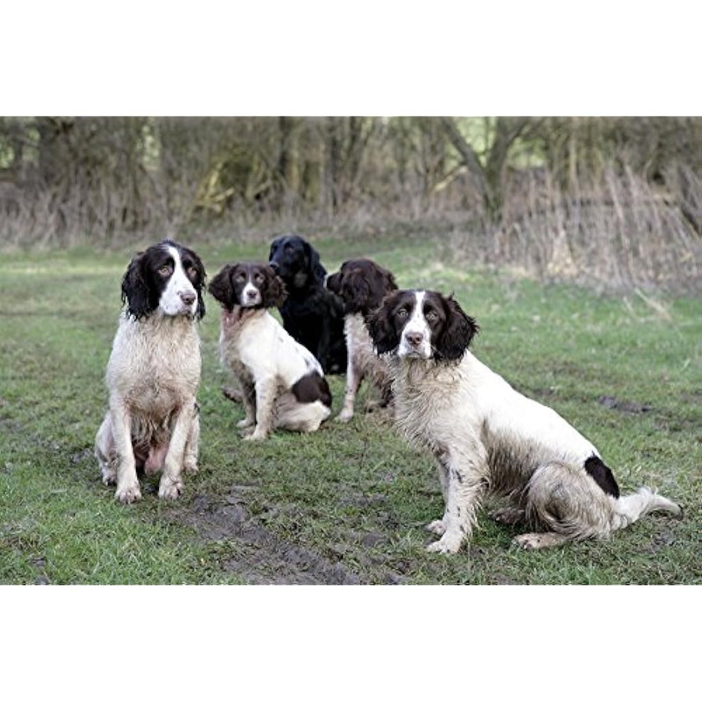 Skinner’s Field & Trial Muesli Mix – Complete Dry Dog Food, 15kg