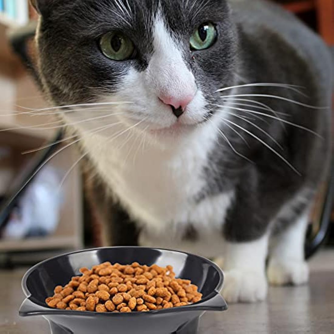 Cotill Cat Bowls – Set of 3 Non-Toxic Melamine Anti-Slip Pet Feeders