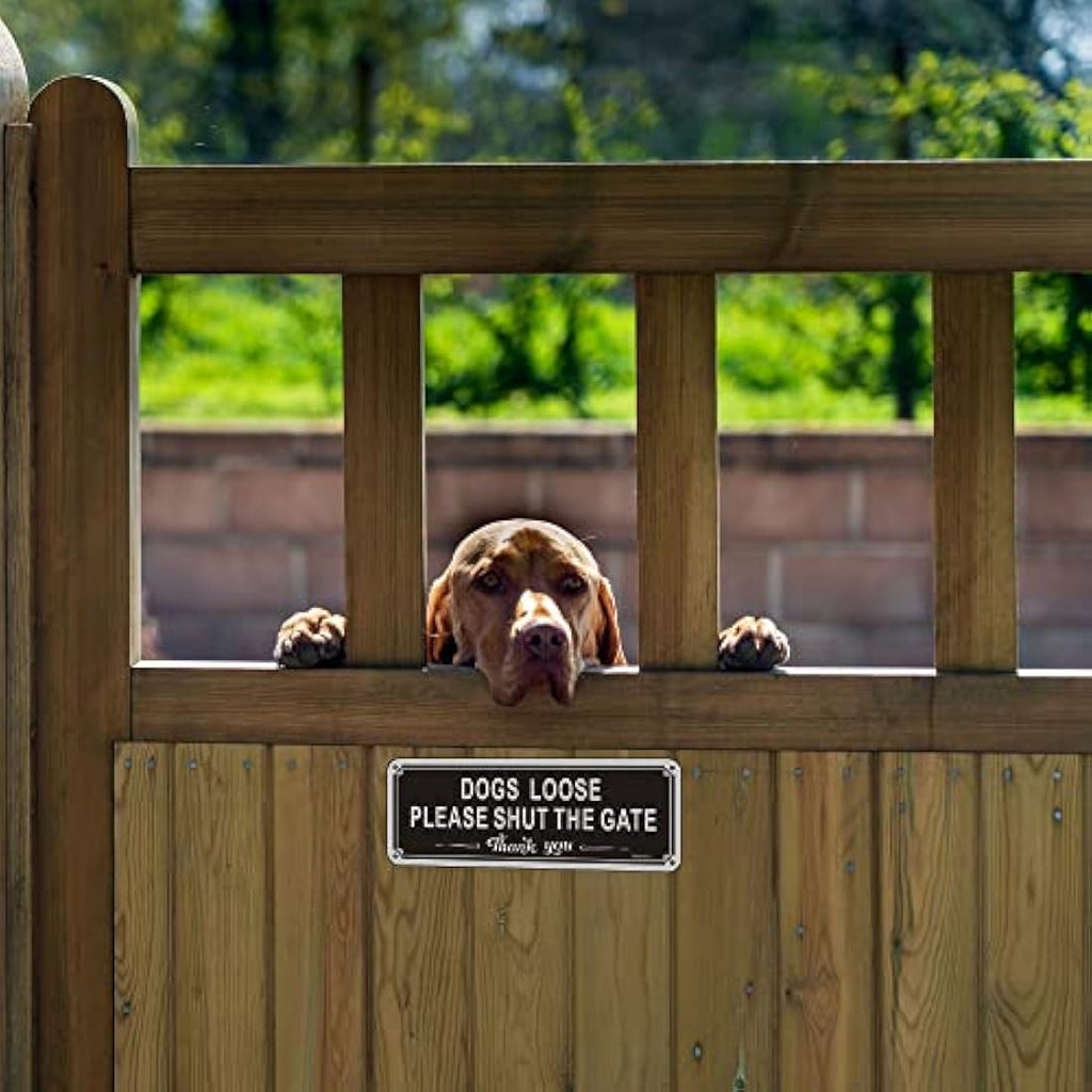 Dogs Loose Shut The Gate Sign | Reflective Aluminum 3.5x9.8