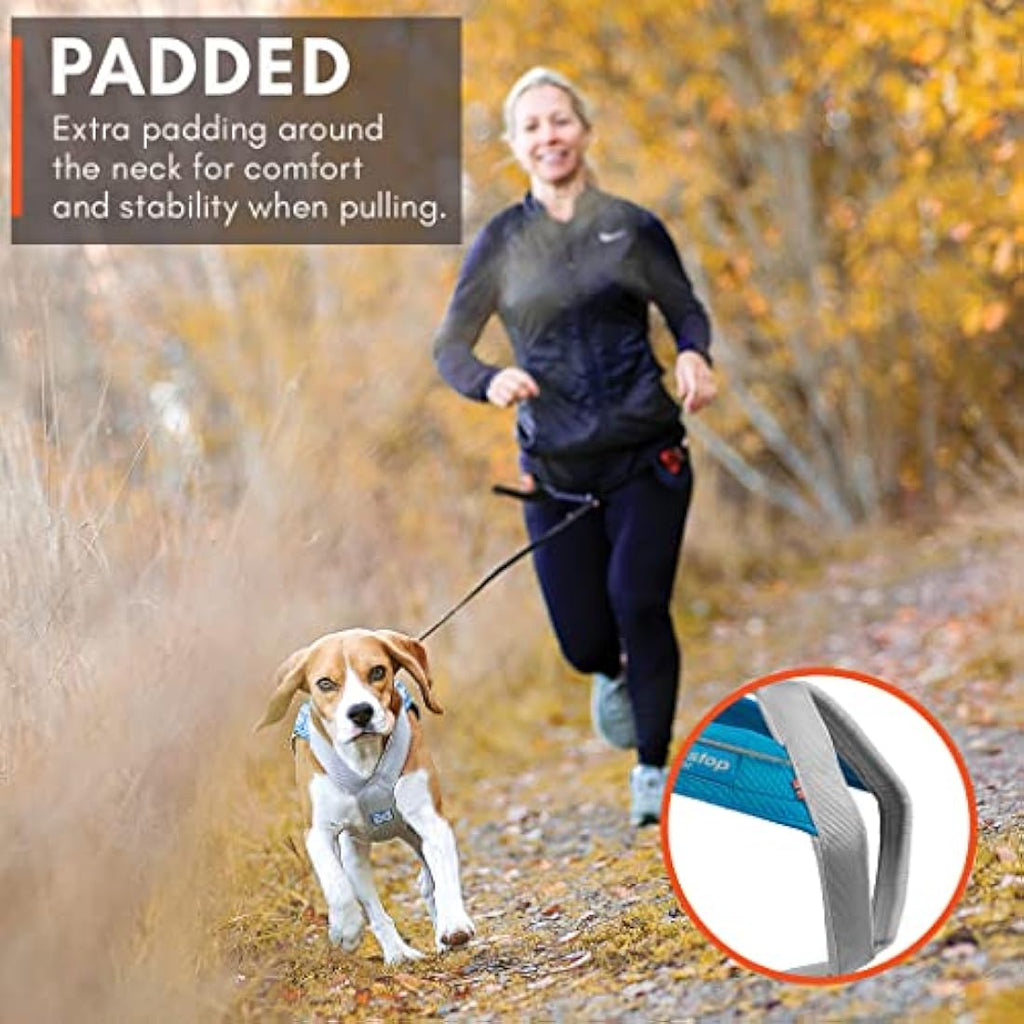 Non-stop dogwear Freemotion 5.0 Dog Pulling Harness - Blue/Gray, Size 4
