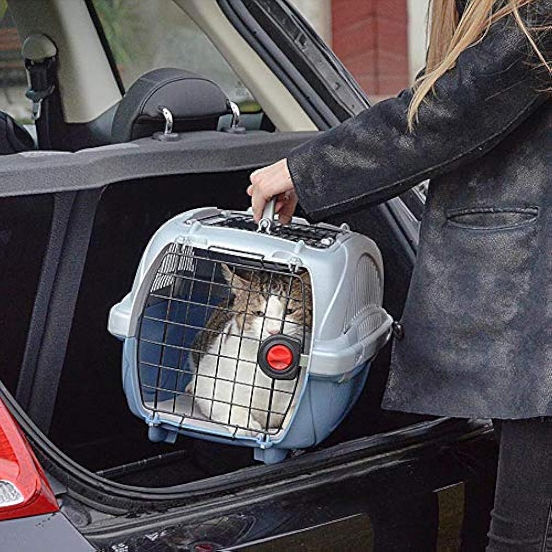 Ferplast Atlas 10 Deluxe Open Pet Carrier for Cats and Small Dogs