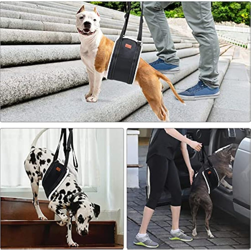 Jolof Store Dog Lifting Harness | Soft Rear Leg Support Sling - XL