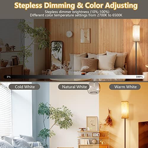 CRLL Modern Floor Lamp – Dimmable LED Standing Lamp with Remote