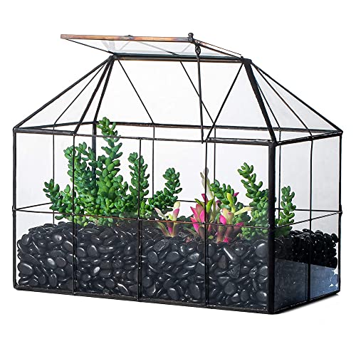 NCYP Geometric Glass Terrarium – House Shape Indoor Succulent Planter