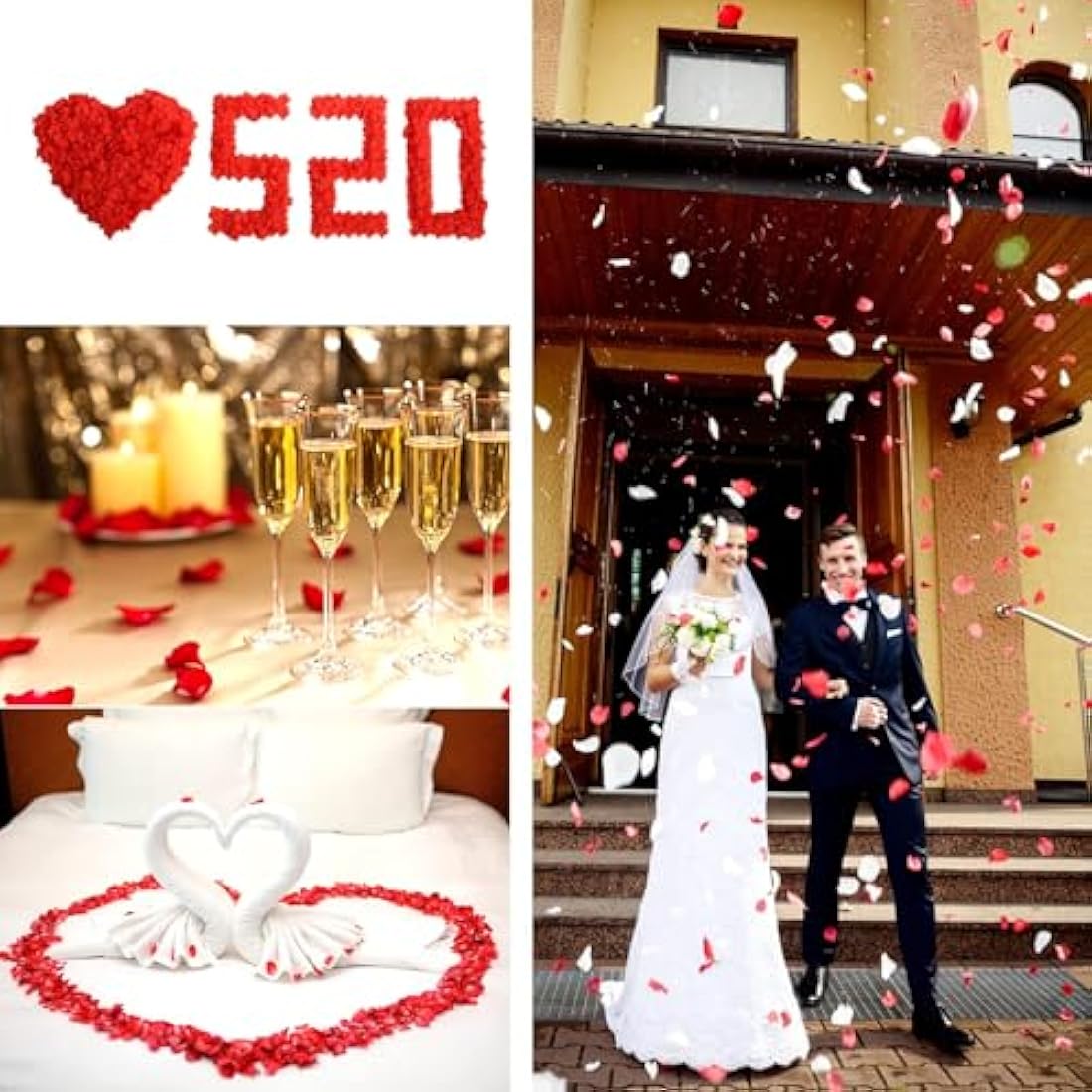 Redamancy 1200pcs Red Artificial Silk Rose Petals for Wedding Decor