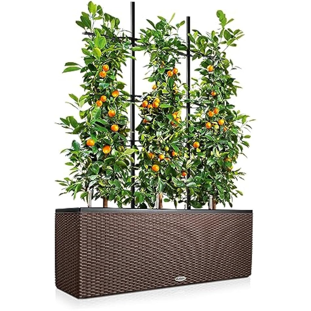 Lechuza Trio Cottage 30 Self-Watering Planter - Mocha Wicker Look