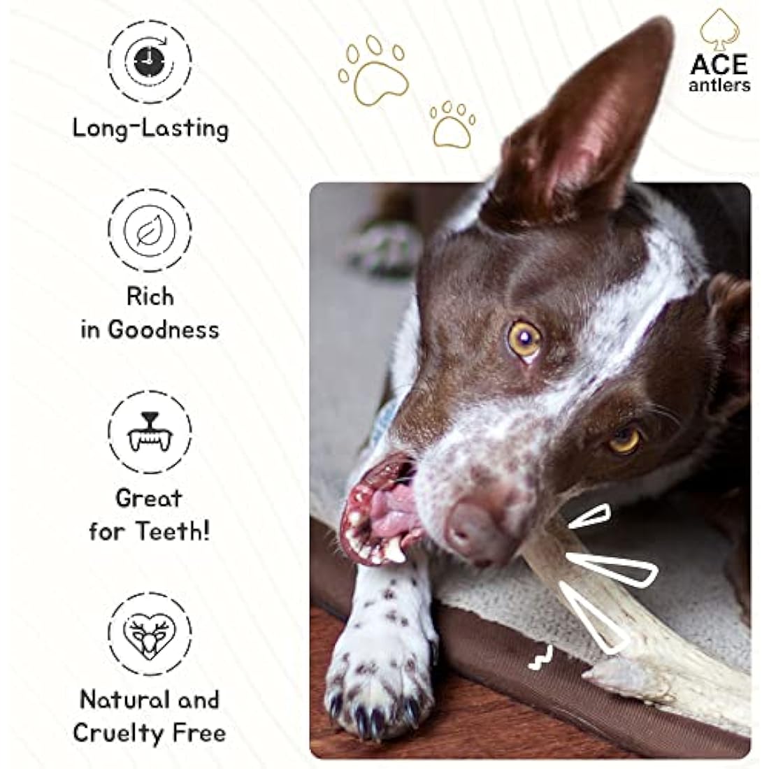 Ace Antlers Natural Deer Antler Dog Chew | Monster Size (600-700g)