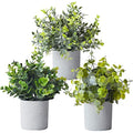 Jolof Store Mini Artificial Potted Plants – Set of 3 Faux Eucalyptus