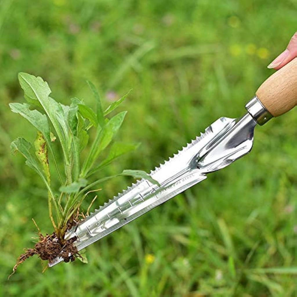 Jolof Store Stainless Steel Garden Weeder with Wooden Handle and Scale