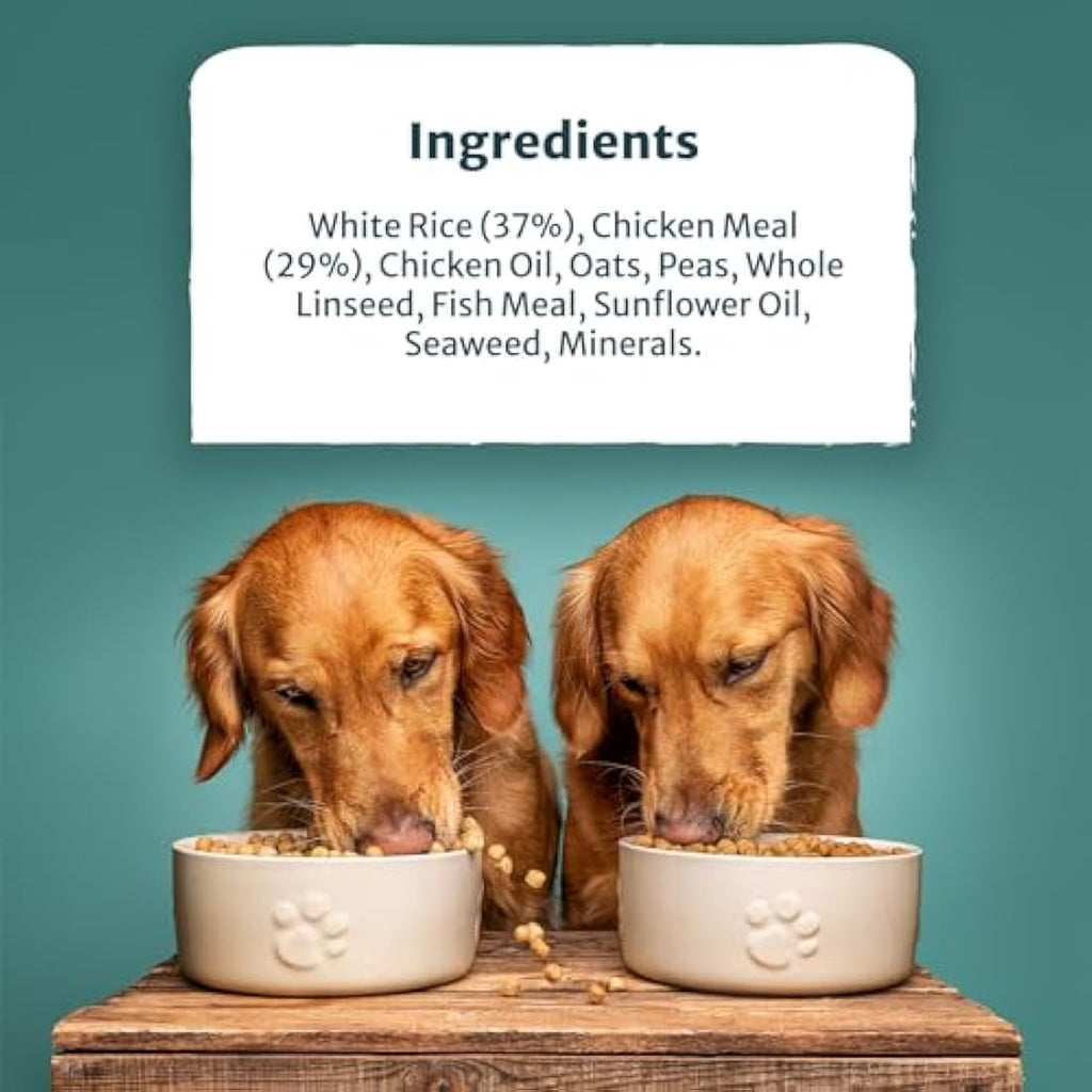 Burns Pet Nutrition Active Dog Food – Hypoallergenic Chicken & Rice 12kg