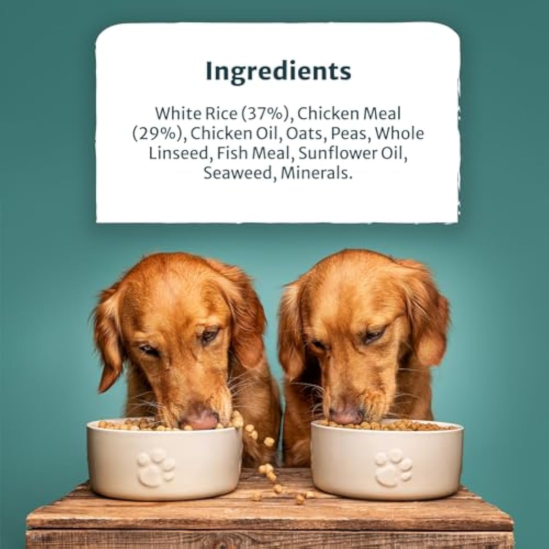 Burns Pet Nutrition Active Dog Food – Hypoallergenic Chicken & Rice 12kg