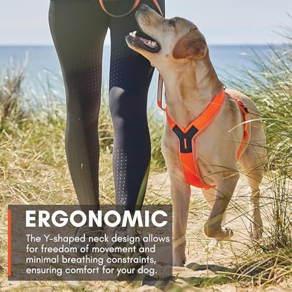 Non-stop Dogwear Line Harness – Adjustable Reflective Dog Harness, Orange