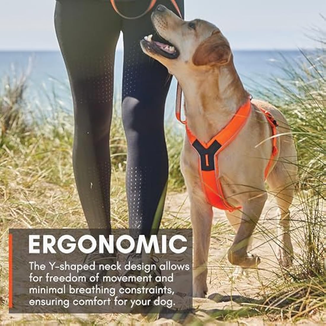 Non-stop Dogwear Line Harness – Adjustable Reflective Dog Harness, Orange