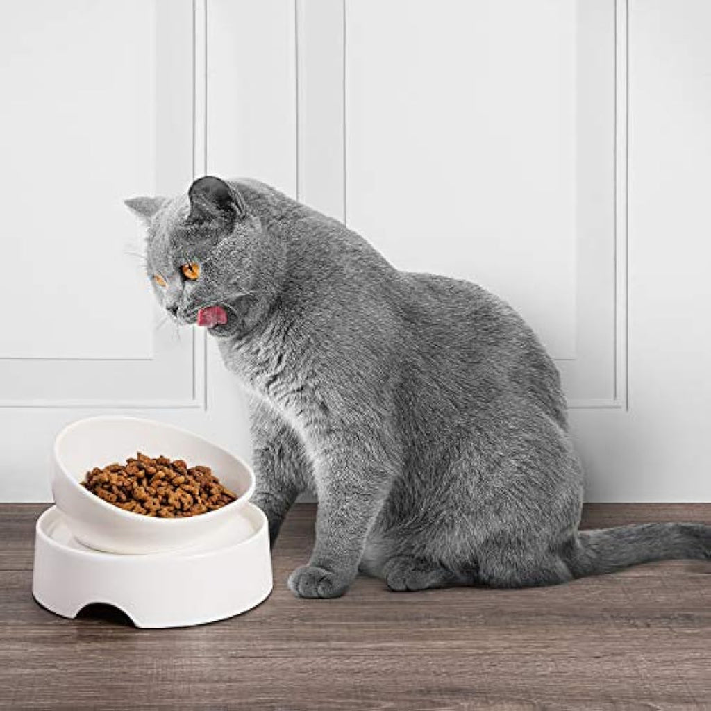 CatGuru Elevated Cat Feeder – Non-Slip Raised Pet Feeding Station