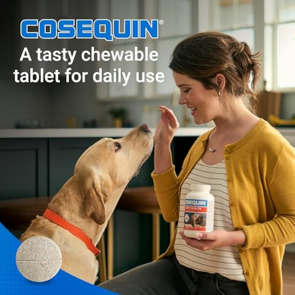 Nutramax Cosequin Joint Supplement with MSM, Glucosamine & Chondroitin