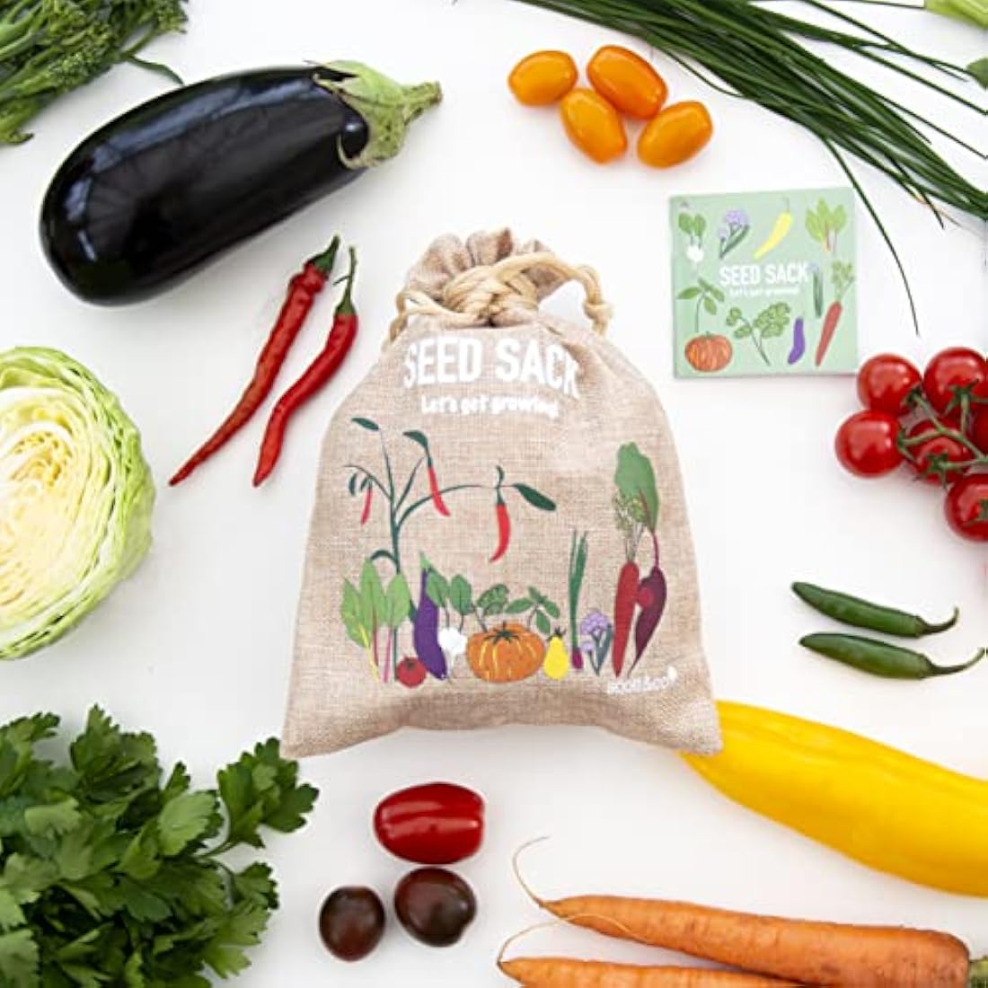 Scott & Co. Vegetable Seeds Variety Pack | 30 Non-GMO Heirloom Seed Kits