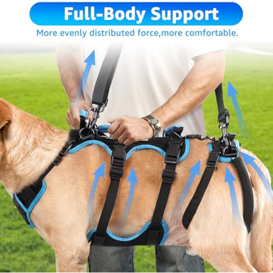 Lafoty Dog Lift Harness – Male Dog Mobility Support Sling for Large Dogs