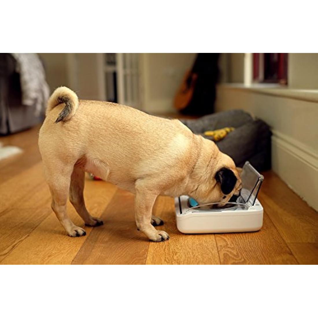 Sure Petcare SureFeed Sealed Pet Bowl – Motion Activated Cat Feeder