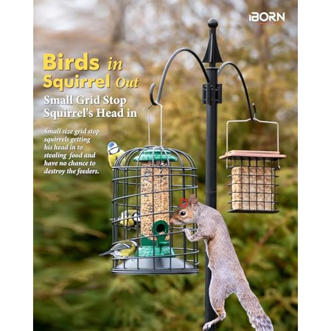 iBorn Squirrel Proof Bird Feeder – Heavy Duty Metal Caged Wild Bird Feeder