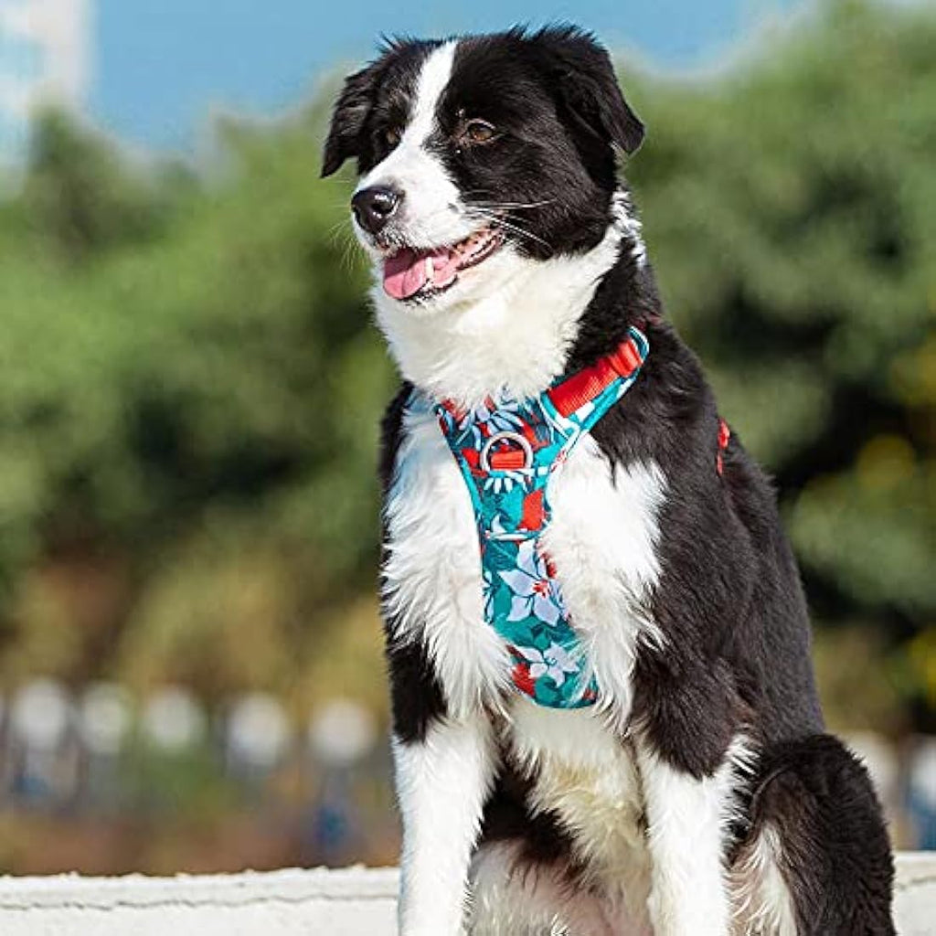 No Pull Dog Harness | Reflective Adjustable Nylon – Blue Camo