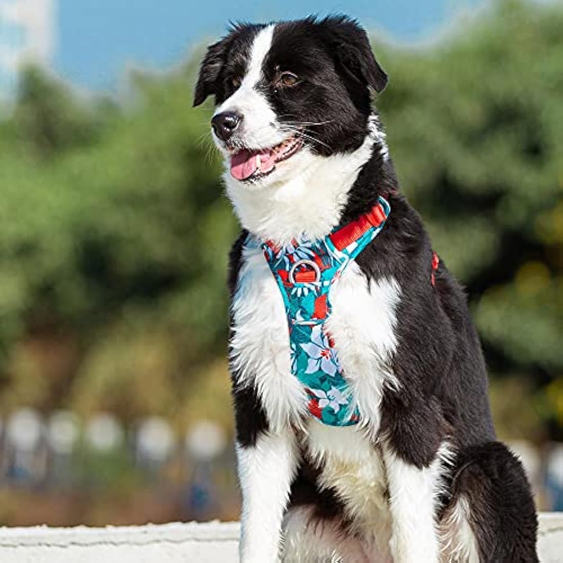 No Pull Dog Harness | Reflective Adjustable Nylon – Blue Camo