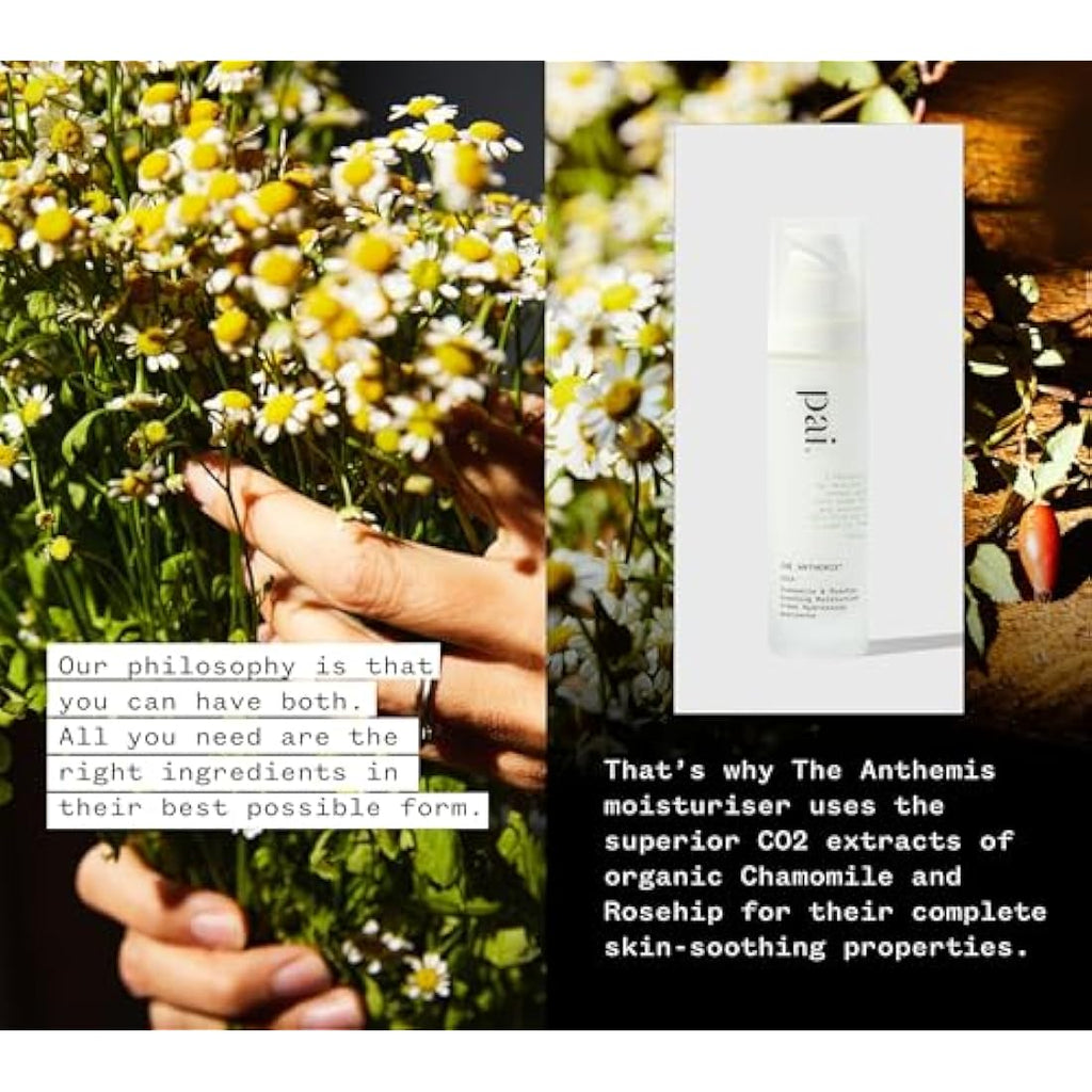 Pai Skincare The Anthemis Sensitive Face Moisturiser with Rosehip - 50ml