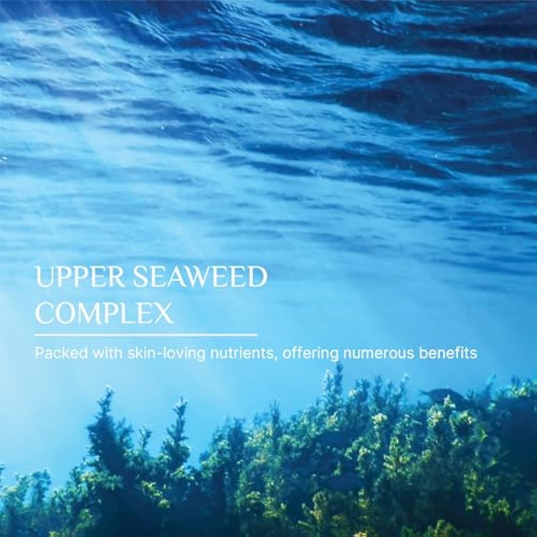 Seaweed Organics Hydrating Face Moisturiser – Soothing Seaweed Cream