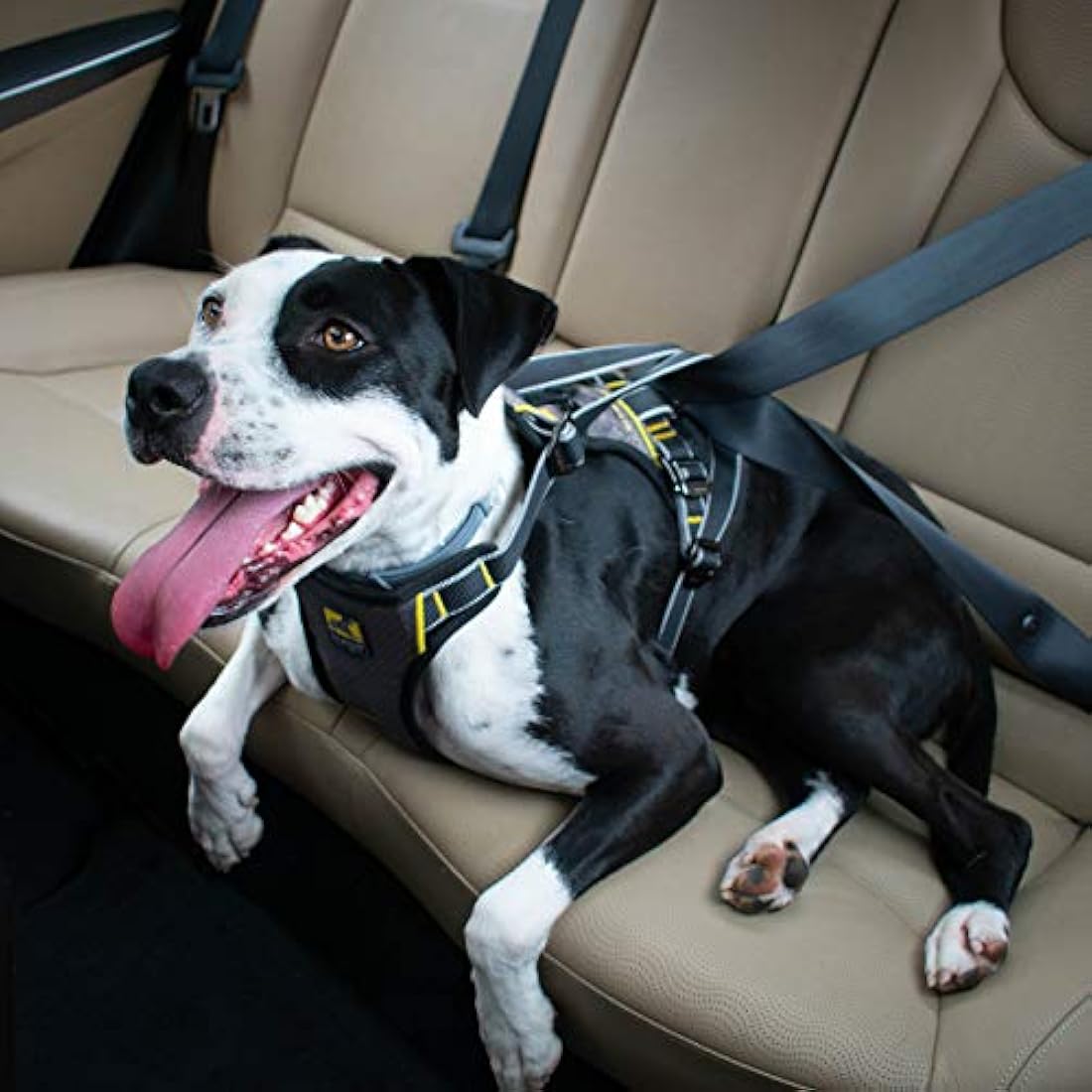 Kurgo Impact Dog Car Harness – Crash Tested Safety Vest, Large, Black